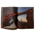 NONZUZO GXEKWA, BLACK CARBON BY COPY, 2020