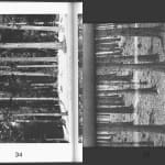 NONZUZO GXEKWA, BLACK CARBON BY COPY, 2020