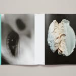 NONZUZO GXEKWA, BLACK CARBON BY COPY, 2020