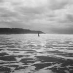 NONZUZO GXEKWA, BLACK CARBON BY COPY, 2020