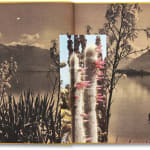 NONZUZO GXEKWA, BLACK CARBON BY COPY, 2020