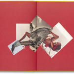 NONZUZO GXEKWA, BLACK CARBON BY COPY, 2020